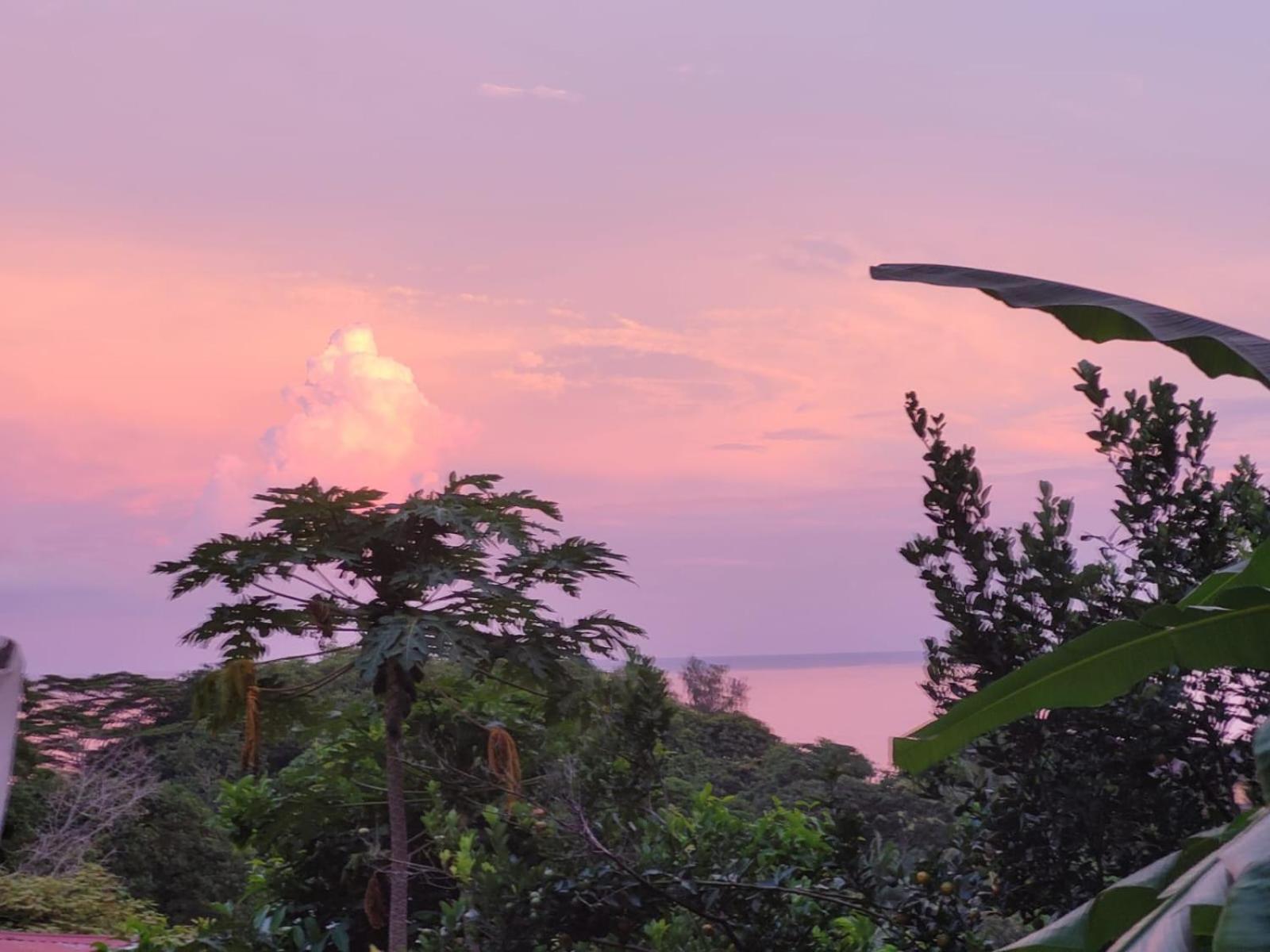 تاكاماكا Tandif Villa Sea View المظهر الخارجي الصورة